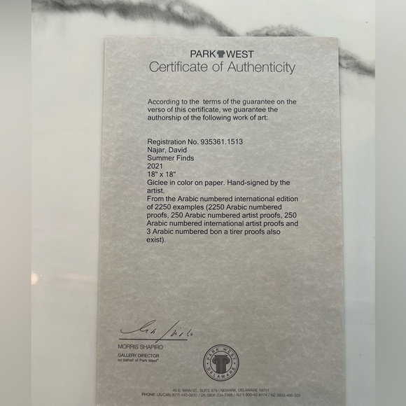 Summer Finds by David Najar (18”x18” art with custom frame) - Picture 7 of 8